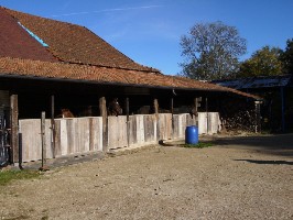Bild von Stallung
